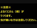 【JM】ヨナグニサン（世界一大きな蛾）で発狂するJM　精神崩壊した話（閲覧注意）