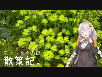 ちょっとその辺、散策記。【紲星あかり】