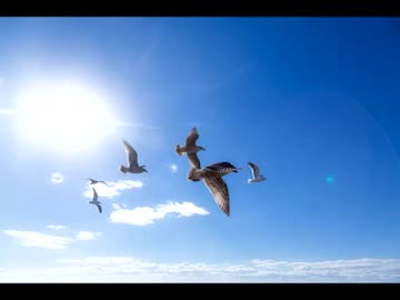 ゲームソング10選Ⅲ