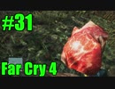 【FarCry4】狂気に満ちた無慈悲な国でサバイバル 31【実況】
