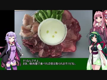 初心者ゆかりのキャンプしようか 番外編