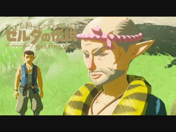 【実況】マップに頼らずクリアを目指すゼルダの伝説ブレスオブザワイルド＃２３.５