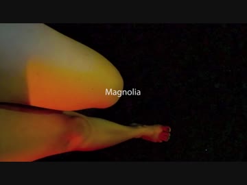 akaiaiz ● マグノリア