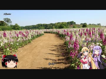 ゴルフで車中泊-2018GW編part4[ゆかまき車載]