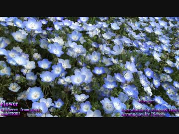 【NNI】 Flower 【ピアス/オリジナル】