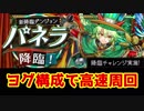 【パズドラ】パネラ降臨 高速周回 解説付き（ヨグ構成）