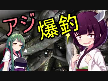 【1080p対応】東北姉妹のドタバタ釣行記 まるで釣堀、春アジ乱舞