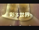 彩る世界