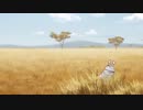縞よ馬よ