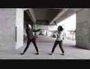フィクサー 踊ってみた 【loTTo7】