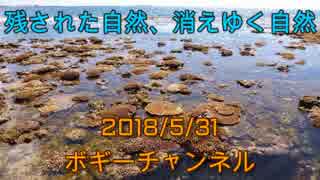 ボギー大佐の言いたい放題　2018年05月31日　21時頃　放送分