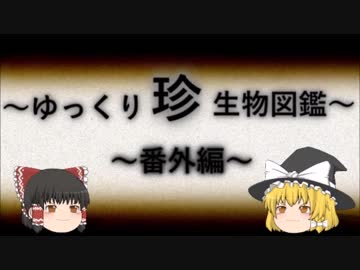 ～ゆっくり　珍　生物図鑑～　番外編27