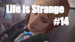 【Life Is Strange】野郎２人と時をかける少女 ＃１４