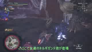 【MHW】おっさんがネルギガンテと一緒にナナ討伐