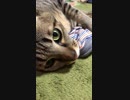 にぃにのアレにうっとり。
