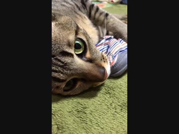 にぃにのアレにうっとり。