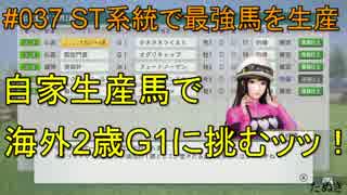 #037 Winning Post 8 2017 実況プレイ　～ST系統で最強馬を生産 1988年⑤～