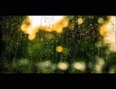 静かな雨の音とカエルの鳴き声（睡眠用BGM・作業用BGM）