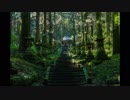 【作業用BGM】ノスタルジックな夏を感じるハウスMix
