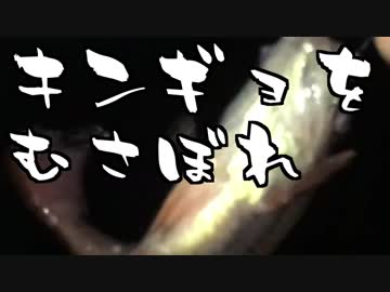 【釣り】金魚（海）食べてきた【料理】