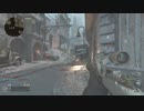 codww2　SR試合キャリーはちょっちゅね……。