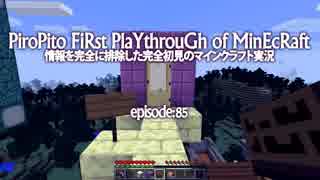 情報完全遮断完全初見でマインクラフト#85