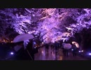 【四国一周への道】 第1幕・新潟の桜と富山の