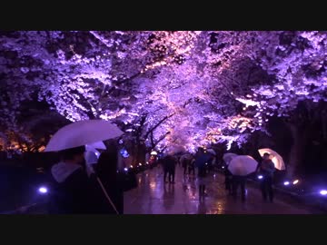 【四国一周への道】 第1幕・新潟の桜と富山の