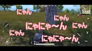 【PUBG】初心者が行く道.１《モバイル版》