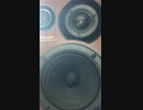 まさかの赤坂Show Time : GOSPERATS