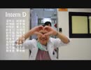 Intern Dog 犬科動物
