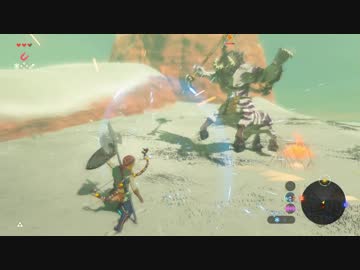 【実況】愛に生きるゼルダの伝説ブレスオブザワイルド マスターモード part12