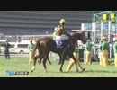 2018年　第68回 安田記念 GⅠ 【モズアスコット】
