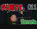 おだやかな時間を過ごすterraria実況 11/11
