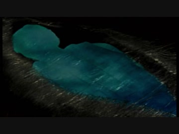【実況】かまいたちの夜２監獄島のわらべ唄　パート２５