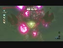 【ゼルダの伝説BotW】地中から魔獣ガノンを討伐！【地下世界】