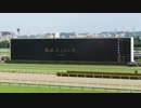 【東京競馬場】私は、そこにいた。 ～I was there.～