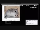 鉄板ハムスター　□