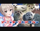 アーニャちゃんはアザラシ合作