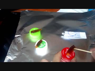 【続】ゴキブリの羽とUVレジンでフェザーネックレス作ってみた！