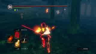 糞溜め侵入【Dark Souls R】