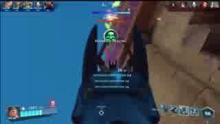 神ゲーpaladins