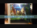 【気孔石】25cmCUBE水槽リセット2018.6【山岳レイアウト】
