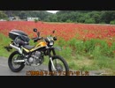 TORQUEのテストしてきた
