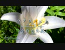 小百合の花 ウタヨミビト 30sec.MV