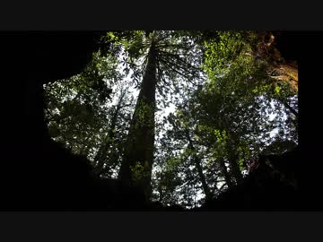 【ゆっくり】屋久島・種子島 自転車キャンプツーリング【登山】Part2