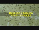 ブラックバス父さんの子育て２（ロングバージョン）
