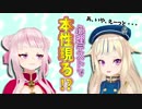 バーチャルYouTuber鈴木ヒナ、実は〇〇歳・・・！？