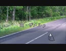 貴方の嘘をoffvocal