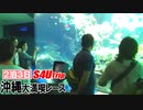 ２泊３日沖縄大満喫レース【#12】美ら海水族館編Ⅰ